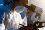 Scientist in a laboratory using a microscope